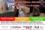 31122020_BOLETÍN_CEPC_CGE_02