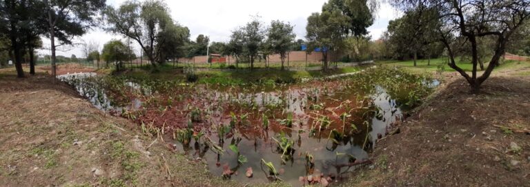 ecologia-trabajo