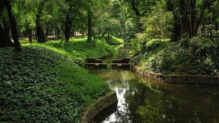 Invitan-a-participar-en-el-desarrollo-del-Jardin-Escenico-en-Chapultepec-1280x720