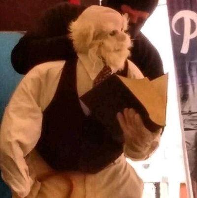 Titeres Farfalla8