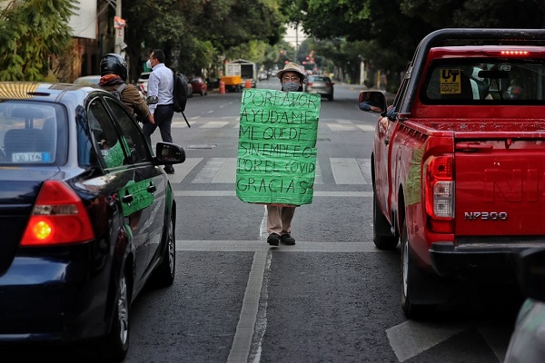 image_large (84)