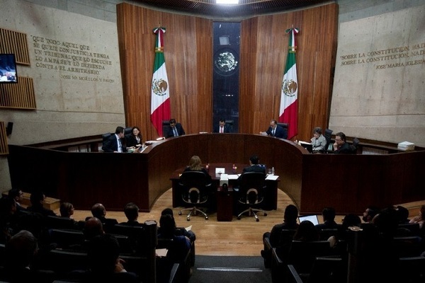 image_large (96)