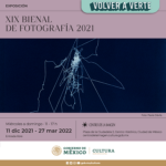 XIXBienal-postal (2)