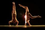 cuerpos