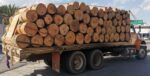 280122_SSC_MATERIAL FORESTAL 1