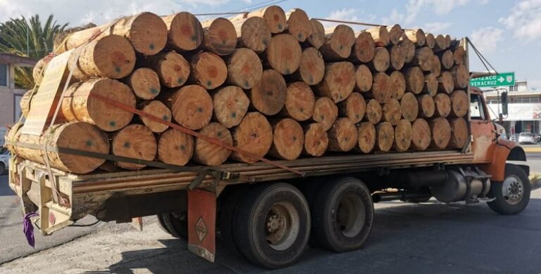280122_SSC_MATERIAL FORESTAL 1