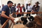 300122_SEFOA_CAPACITACIÓN 3
