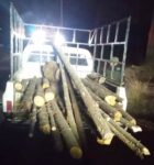 210222_SSC_MATERIAL FORESTAL 1