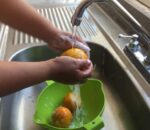 270322_SESA_ENFERMEDADES D