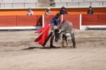 160422_ITDT_NIÑO TORERO 4