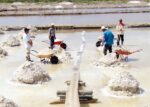image_large - 2022-04-24T145037.296