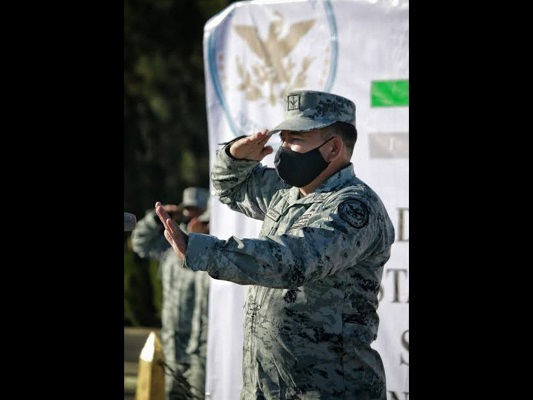 image_large (39)