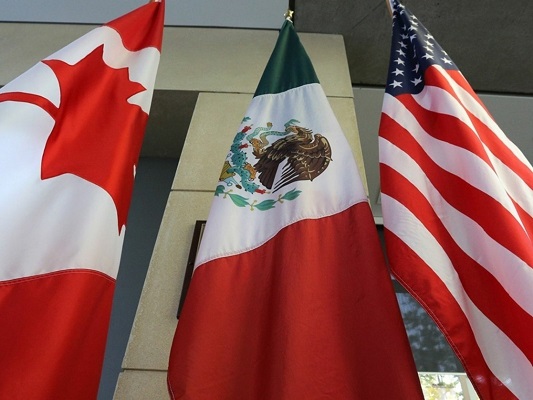 image_large (50)