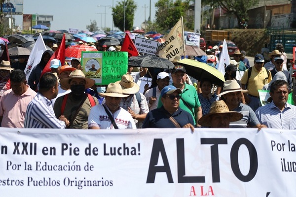 image_large (10)
