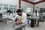 09 Analizarán en UATx biología de escarabajos descortezadores