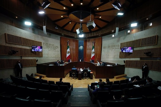 image_large (68)