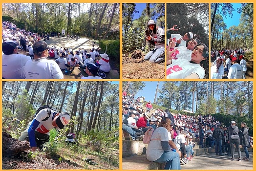 19 Colabora UATx en reforestación del Parque Nacional La Malinche