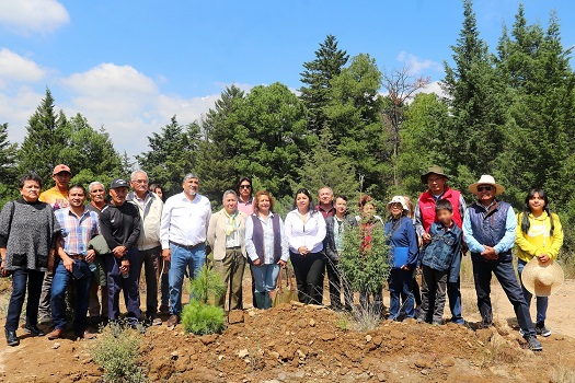 17 A Trabaja la UATx en rehabilitación ecológica de Tlaxcala