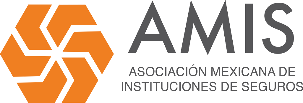 amis-logo-big