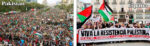 portada (81)