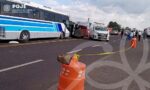 Imagen de WhatsApp 2024-07-25 a las 17.46.23_934d60cc