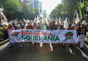 portada (54)